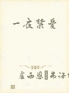 一夜禁爱