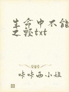 生命中不能承受之轻txt