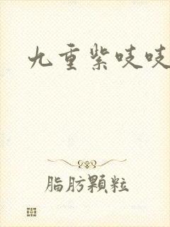 九重紫吱吱小说