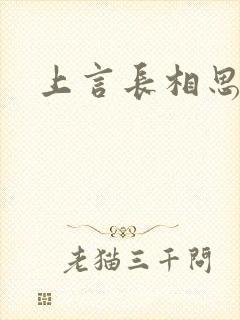 上言长相思