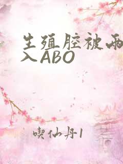 生殖腔被两根进入ABO