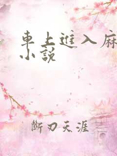 车上进入麻麻的小说