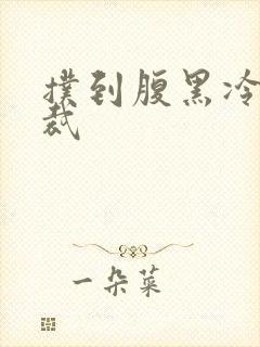 扑到腹黑冷面总裁