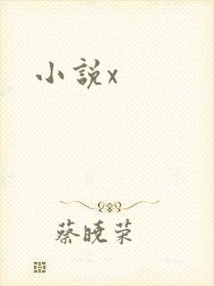 小说x
