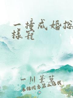 一撞成婚总裁花样宠