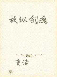 放纵剑魂