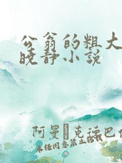 公翁的粗大放进晓静小说