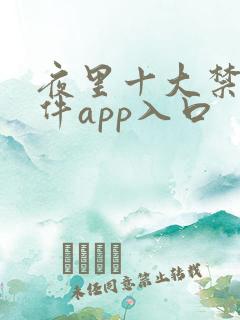夜里十大禁用软件app入口