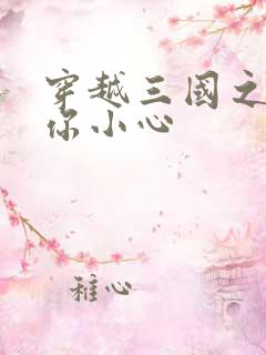 穿越三国之孔明你小心