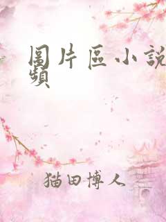 图片区小说区视频