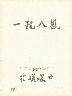 一龙八凤