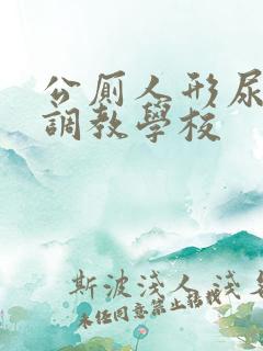 公厕人形尿便器调教学校