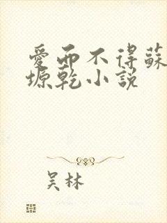 爱而不得苏路顾塬乾小说