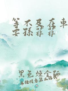 等不及在车里就要孙菲菲