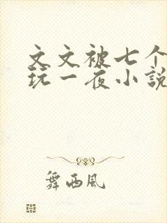 文文被七个男人玩一夜小说