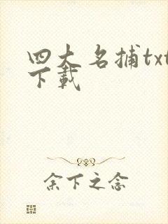 四大名捕txt下载