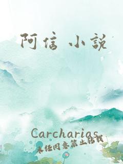阿信 小说