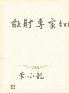 敛财专家txt