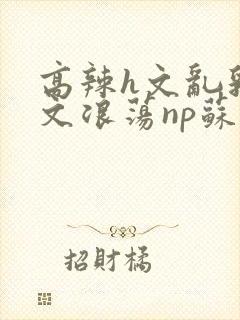 高辣h文乱乳h文浪荡np苏夏