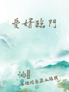 爱婿临门