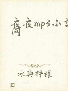 夜夜mp3小说网