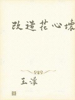 改造花心坏相公