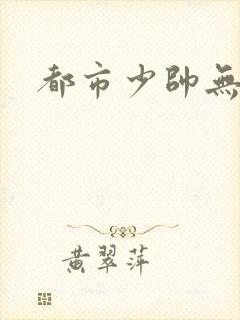 都市少帅无弹窗