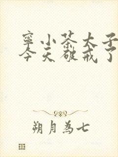 宁小茶太子殿下今天破戒了吗免费阅读