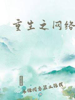 重生之网络大亨