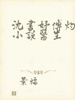 沈书妤傅灼抖音小说医生