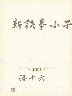新铁拳小子