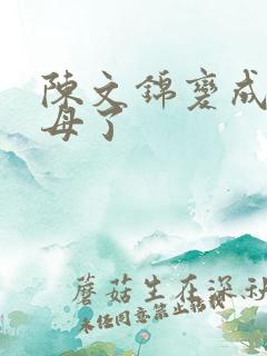 陈文锦变成西王母了