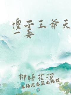 傻子王爷天下第一妾