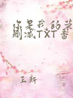 你是我的荣耀未删减TXT番外