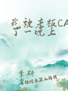 我被老板CAO了一晚上