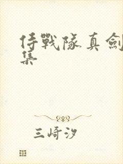 侍战队真剑者全集
