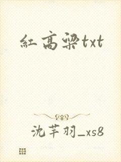 红高粱txt