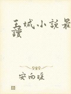 王城小说最近阅读