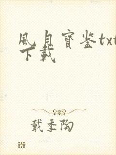 风月宝鉴txt下载