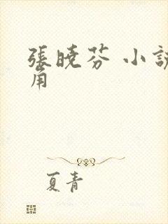 张晓芬 小说主角