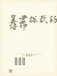 暴君总裁的狂烈烙印