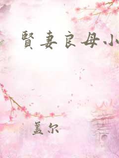 贤妻良母小说