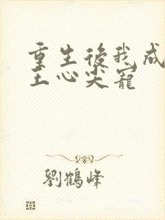 重生后我成了傻王心尖宠