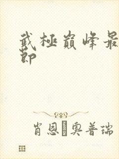 武极巅峰最新章节