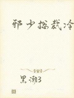 邪少总裁冷心秘