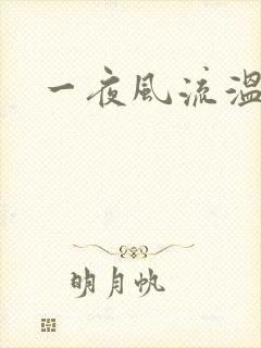一夜风流温暮生