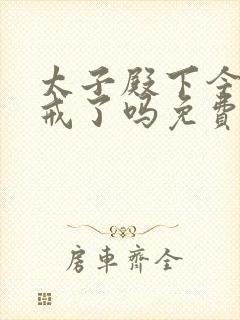 太子殿下今天破戒了吗免费阅读