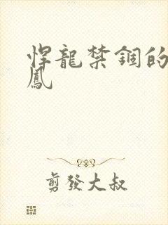 悍龙禁锢的小野凤