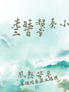 老旺超秦小雨第三百章