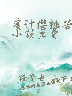 蜜汁樱桃苦咖啡小说免费